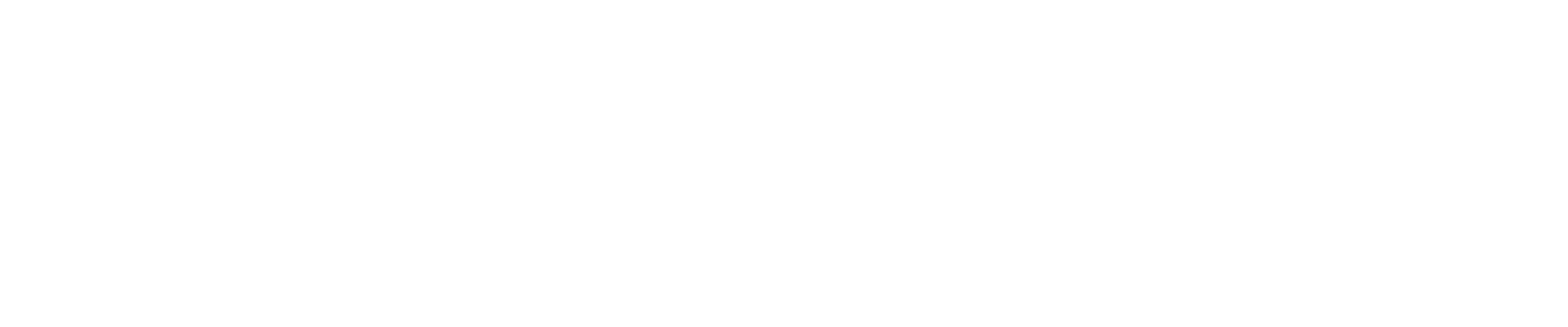 Donuts Hole logo